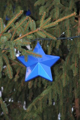 Etoile bleu dans sapin