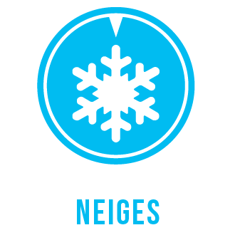 Logo flocon de neige