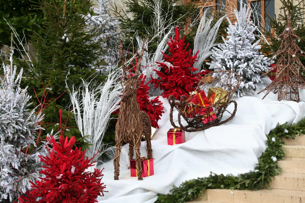 Mise en scène sapins rouges et blancs, tapis neige et guirlandes